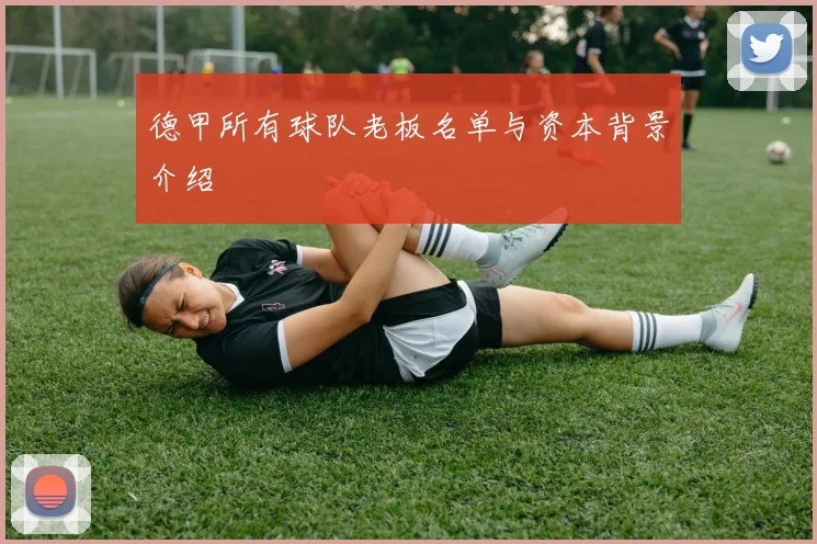 德甲所有球队老板名单与资本背景介绍