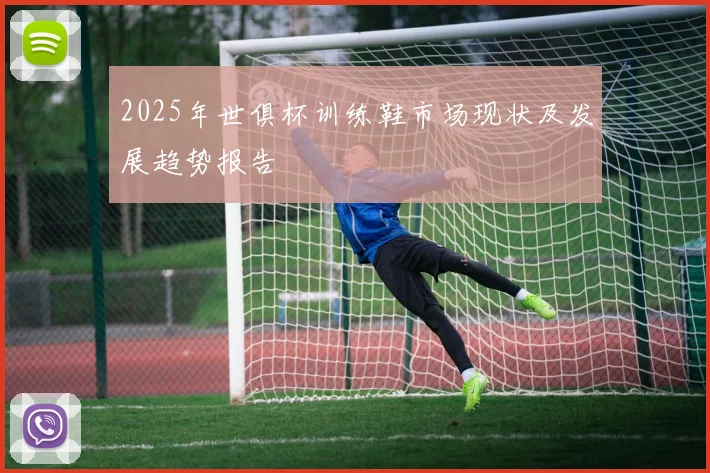 2025年世俱杯训练鞋市场现状及发展趋势报告